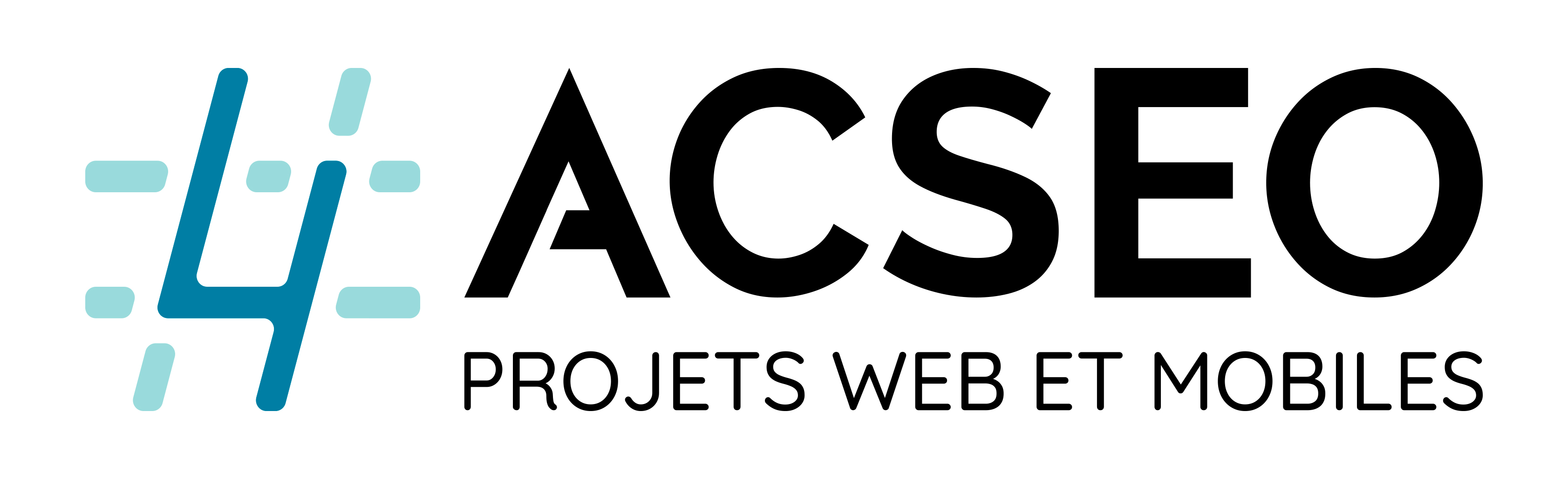 Logo of ACSEO