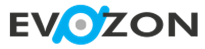 Logo of Evozon